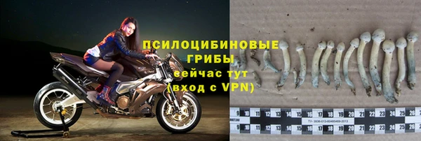 прущая мука Касимов