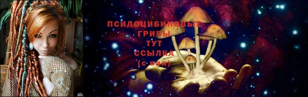 прущая мука Карталы