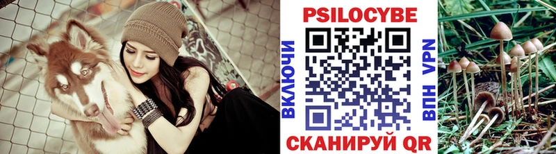 Купить закладки  Инза  Галлюциногенные грибы Psilocybine cubensis 